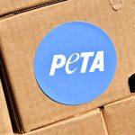 Cardano Price Prediction November 2025: Whale Accumulation Signals a Rebound to $1